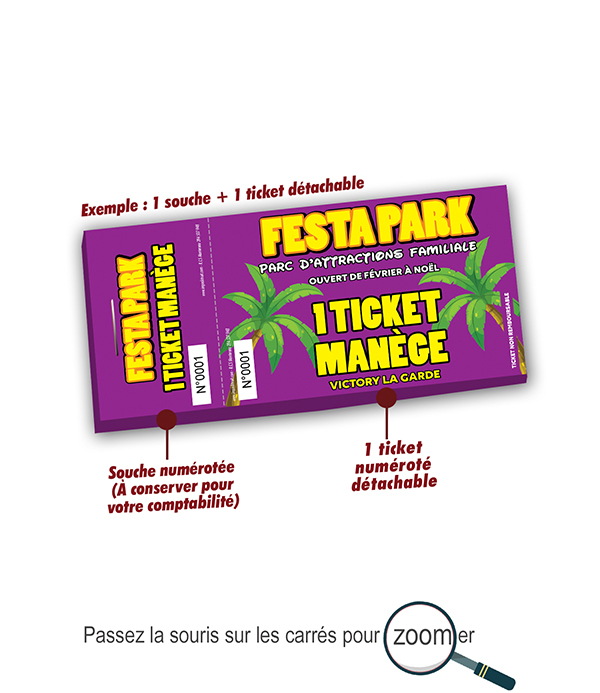 Ticket manège parc attractions